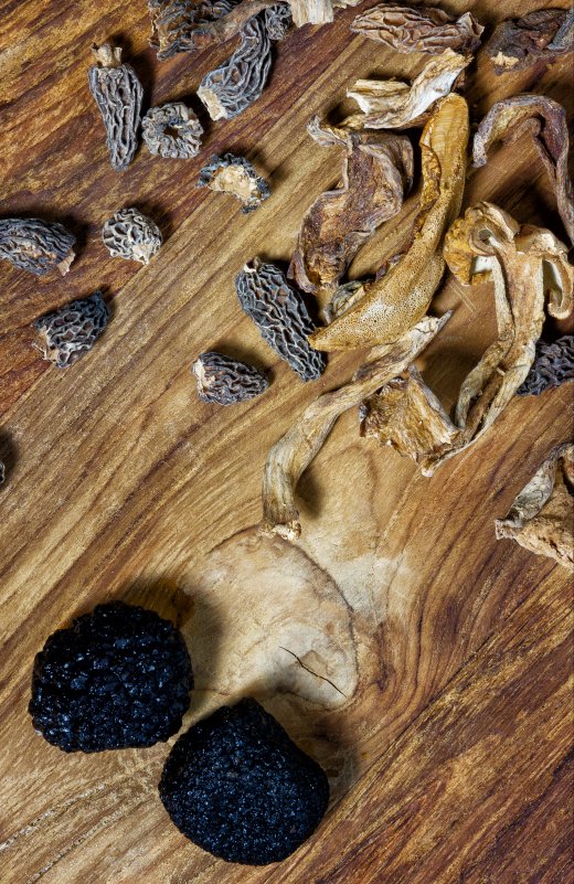 Truffels & paddenstoelen